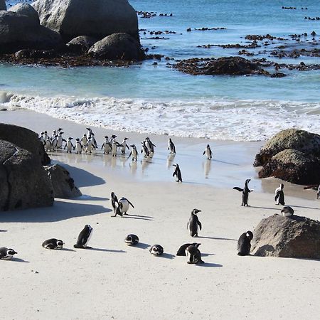 Boulders Beach House Simon's Town Exterior photo