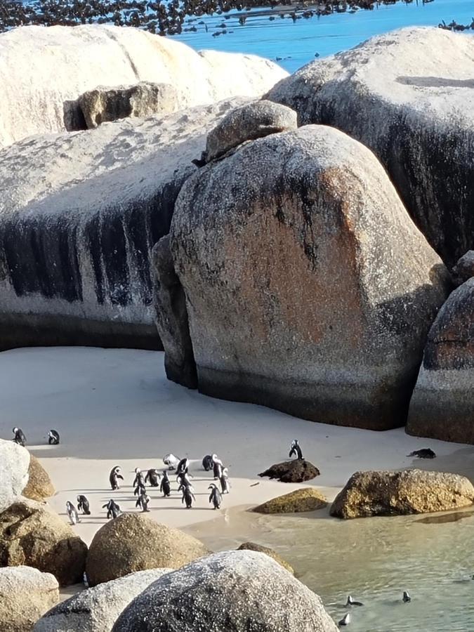 Boulders Beach House Simon's Town Exterior photo